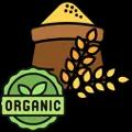 /icons/articles/ca_organskezitarice.webp