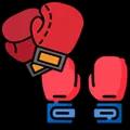 /icons/articles/ca_rukavicezaboks.webp