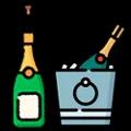 /icons/articles/ca_sampanjac.webp