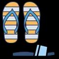 /icons/articles/ca_zenskepapuce.webp