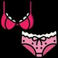 /icons/articles/ca_zenskidonjives.webp